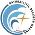 The Naturalistic Decision Making Association (@NDMAssn) Twitter profile photo