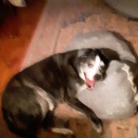 Bill Evert (@billevert3) 's Twitter Profile