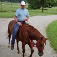 Andy Mohr (@mohrpork) 's Twitter Profile