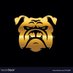 DHS softball (@jasonoakes76) Twitter profile photo