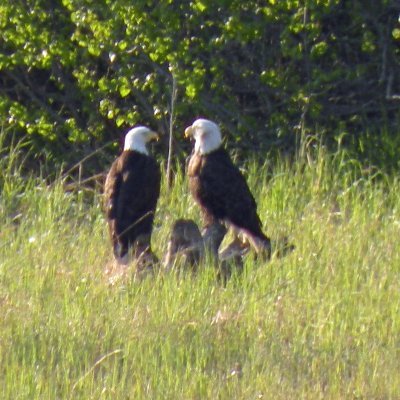 Justsharingask1's profile picture. A conversation involves mostly questions & then listening...