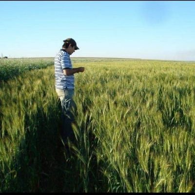 paesagro's profile picture. 👨‍🎓👨‍🎓 Engenheiro Agrônomo (UEM-PR) 
🇧🇷 Mestrado em proteção de plantas

🌽🌽  Produtor rural (Milho, soja e trigo)

📈⚖📉 Mercado

✝️✝️✝️  IC XC NI KA