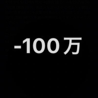 -110万からのSTEPN+α Profile