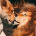 Melkio Simba (@melkiosimba) Twitter profile photo Melkio Simba (@melkiosimba) Twitter profile photo