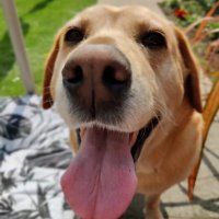 ollibar4 (@ollibar4) 's Twitter Profile