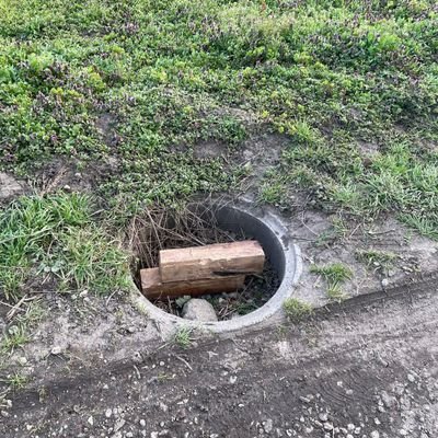 RicardaBerta's profile picture. Grün ist eine schöne Farbe.