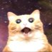 Mo Lysergic (@molysergic) Twitter profile photo Mo Lysergic (@molysergic) Twitter profile photo
