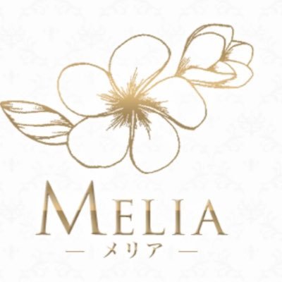 ~Melia~メリア-🌺メンズエステ・リラクゼーション🌸金山駅徒歩2分✨全ルーム高級マンション1R個室✨新築物件👍美女厳選❣️遅番深夜帯女性急募🙇女性講師在籍店👩未経験女性も安心💄予約09063977472🍀 LINE、SMS予約#メンズエステ求人 #メンズエステセラピスト