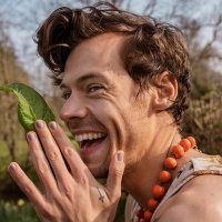 best harry videos(@theharryvideos) 's Twitter Profile Photo