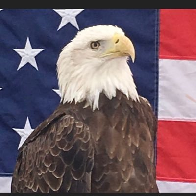 American Smasher Profile