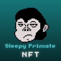Sleepy Primate NFT 🇮🇩 (@sleepyprimate) 's Twitter Profile