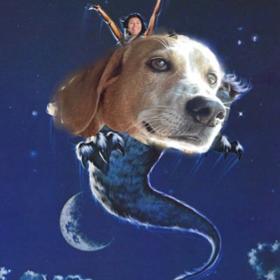 momusavim's profile picture. 