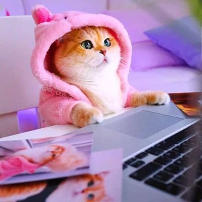 MorufatSaka's profile picture. 