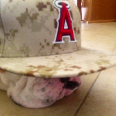 ozman_23's profile picture. God, Family, Country. USMC vet. 2nd Amendment Patriot. Freedom loving American