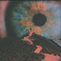 Brani K (@k60526714) 's Twitter Profile