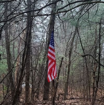 Thebigbustycoon's profile picture. 