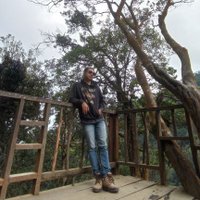 toplokalleomord (@penaluka1) 's Twitter Profile