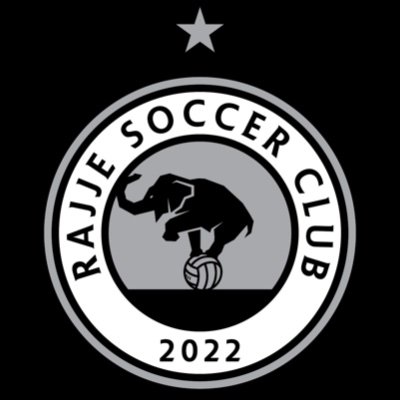 Lansing’s second favorite soccer team. Independent club playing year-round in @glosoccer. Too old and slow to play for @LansingCommonFC.