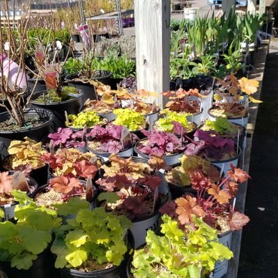 montfhg's profile picture. Retired old coddure that doesn't really know how Twitter works. Never watched a soccer game until Welcome to Wrexham.