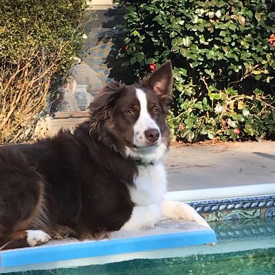 LarsChurch's profile picture. 🇺🇸America First 🇺🇸MAGA Conservative 🇺🇸Patriot 🇺🇸 Son of a WWII B-17 navigator that survived being shot down and smuggled out by the French Resistance.