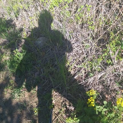 Manes19503729's profile picture. La luce di Dio