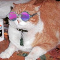 SuperCookie (@supe4cookie) 's Twitter Profile