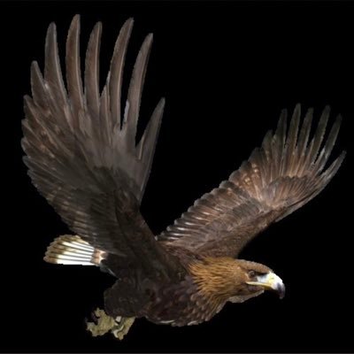 DubonBertrand's profile picture. 