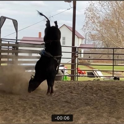 Pro-Trump grandpa. Multi business owner. Rodeo Producer