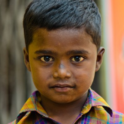 AricaPlane's profile picture. 