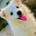 Fred🦍🕊 (@fred14366993d) Twitter profile photo Fred🦍🕊 (@fred14366993d) Twitter profile photo