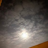 fahadalsdub178 (@fahadalsdub178) Twitter profile photo
