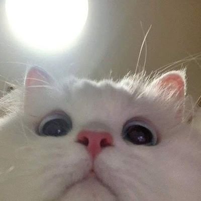 nanano_jam's profile picture. น้องแจมินน่ารักที่สุดในโลก🤏🏻