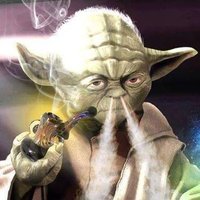 Stoned Yoda(@The_Stoned_Yoda) 's Twitter Profile Photo