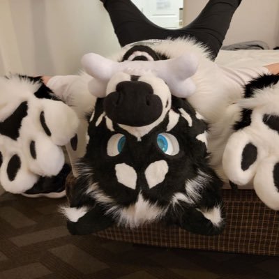 bonebonedoggo's profile picture. 18+ ONLY - He/Him - 27 - Gay - Side - Subby Wolfyeena - Hiiiii 🥺🥺