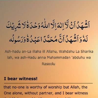 AdeebaShaheen4's profile picture. 