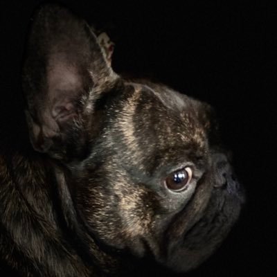 SebrinaSmithAl's profile picture. 