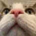 cubrub (@cubrub1) Twitter profile photo