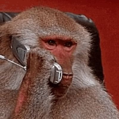 bob_lilly1330's profile picture. 