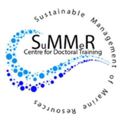 CDT SuMMeR Profile