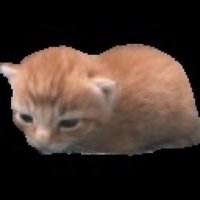 *is trans* (@endlesuniverse) 's Twitter Profile Photo *is trans* (@endlesuniverse) 's Twitter Profile Photo