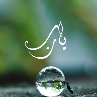Ba22301's profile picture. سبحان الله