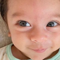 Michael nassar (@michaelnassar67) 's Twitter Profile