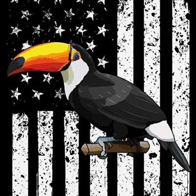 PeopleParty15's profile picture. Trump won. Everyone knows it