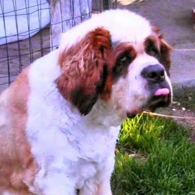 meatnutz89's profile picture. massively interesting