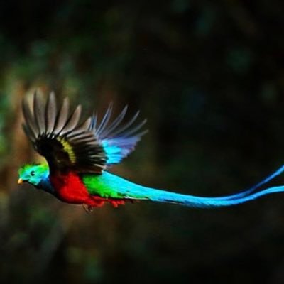 TronChakra's profile picture. Crypto Enthusiast Traveler of frequency & dimensions