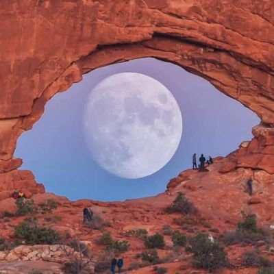 Camaco60216171's profile picture. 