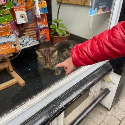 julensanchez90's profile picture. Kakota