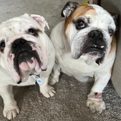 kathybison's profile picture. 