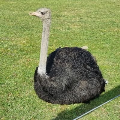 MoodLearner's profile picture. Unlearn Learn Earn Burn.