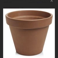 Plant Pot(@plantpot2022) 's Twitter Profile Photo